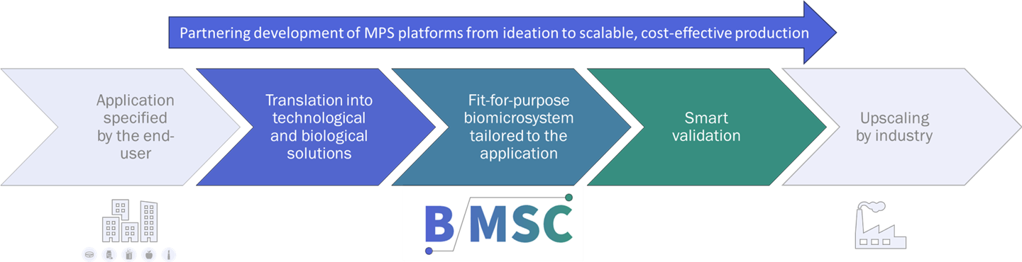 BMSC-scheme1